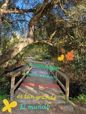 El Rinconcito Mágico, El Bosque